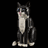 Lightailing Light Kit For Tuxedo Cat 21349-2