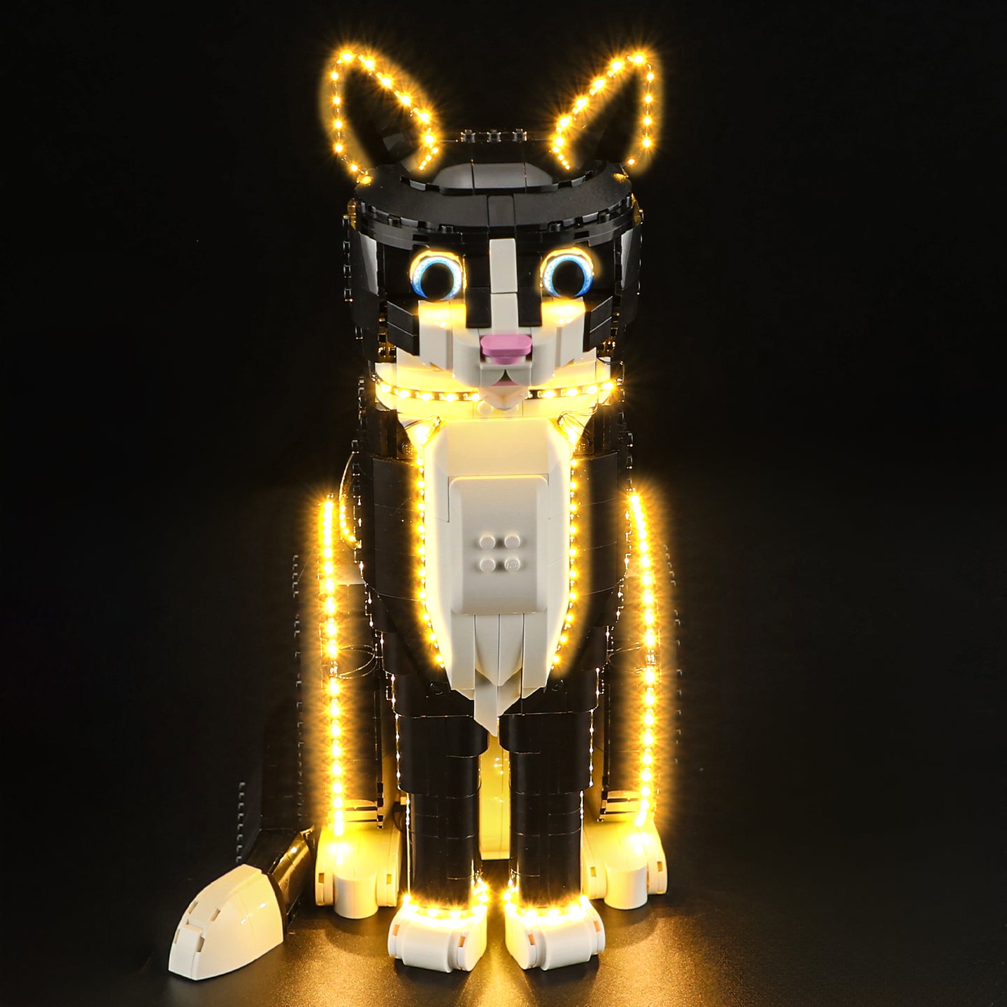 Lightailing Light Kit For Tuxedo Cat 21349-6