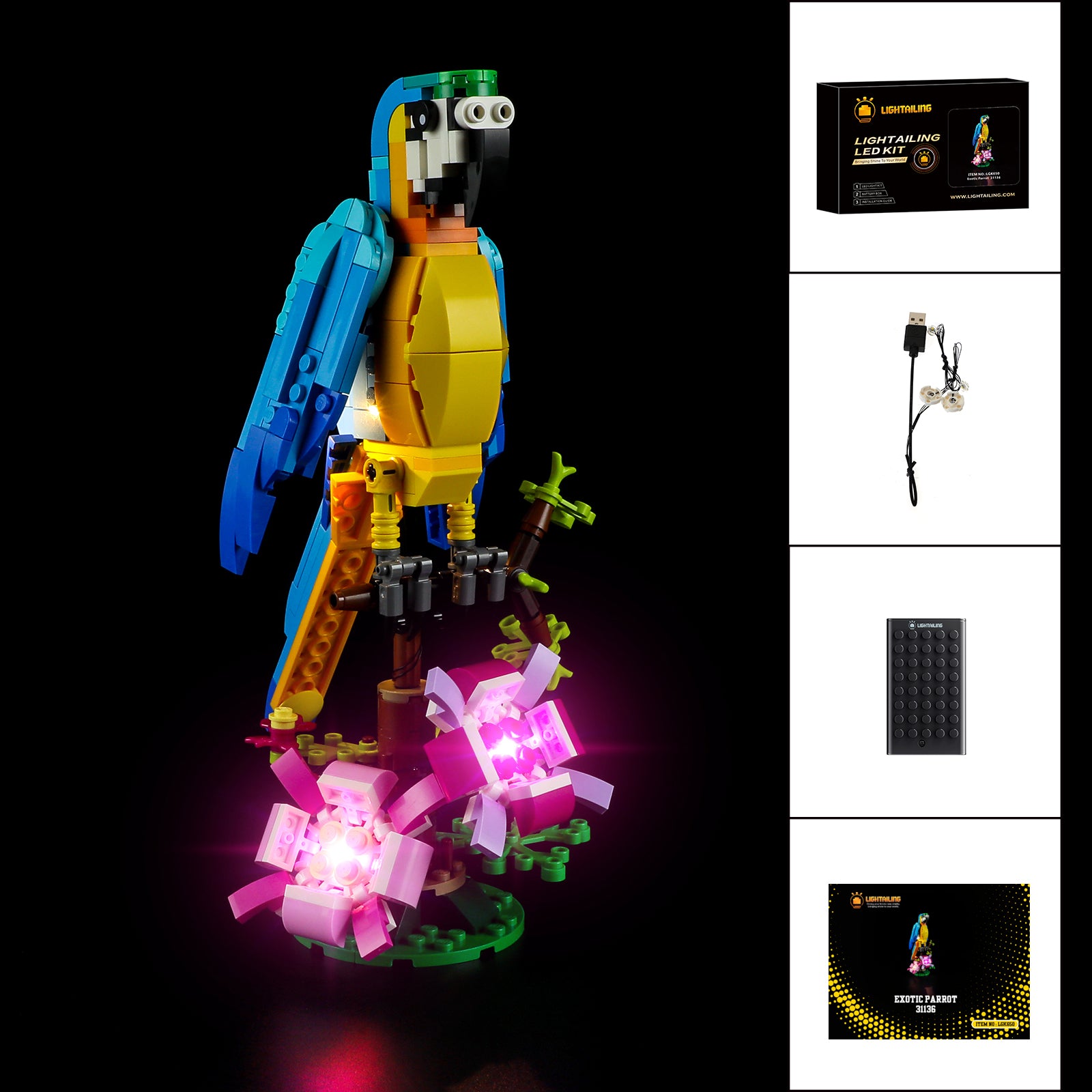 Lichtset für exotischen Papagei 31136 - Lightailing