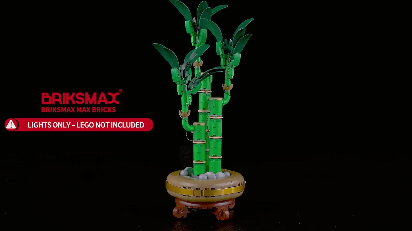 Light Kit for Lucky Bamboo 10344-Briksmax