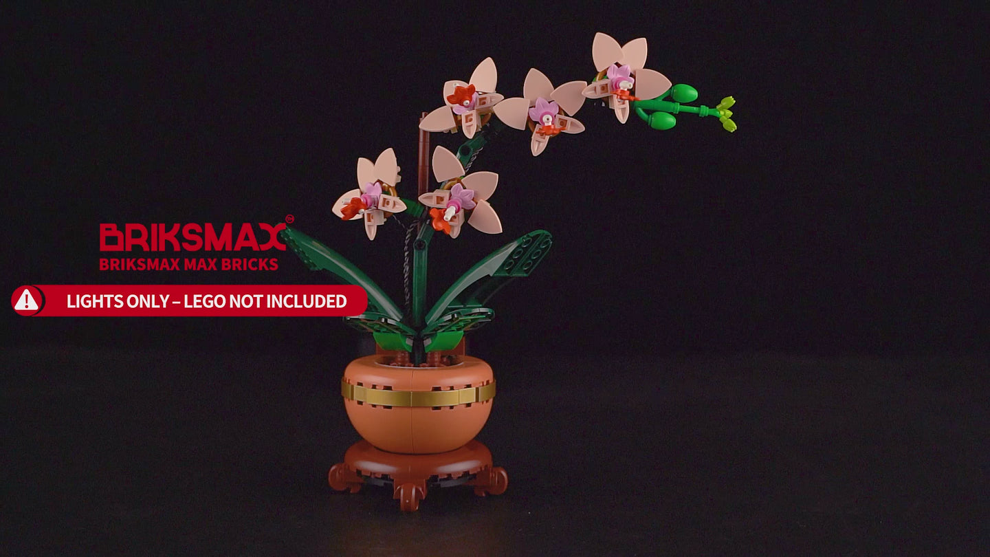 Light Kit for Mini Orchid 10343 - Briksmax 2.0