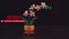 Light Kit for Mini Orchid 10343 - Briksmax 2.0