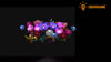 Light Kit for Flower Wall 11503 - Lightailing