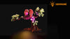 Light Kit for Love Birds 21365 - Lightailing