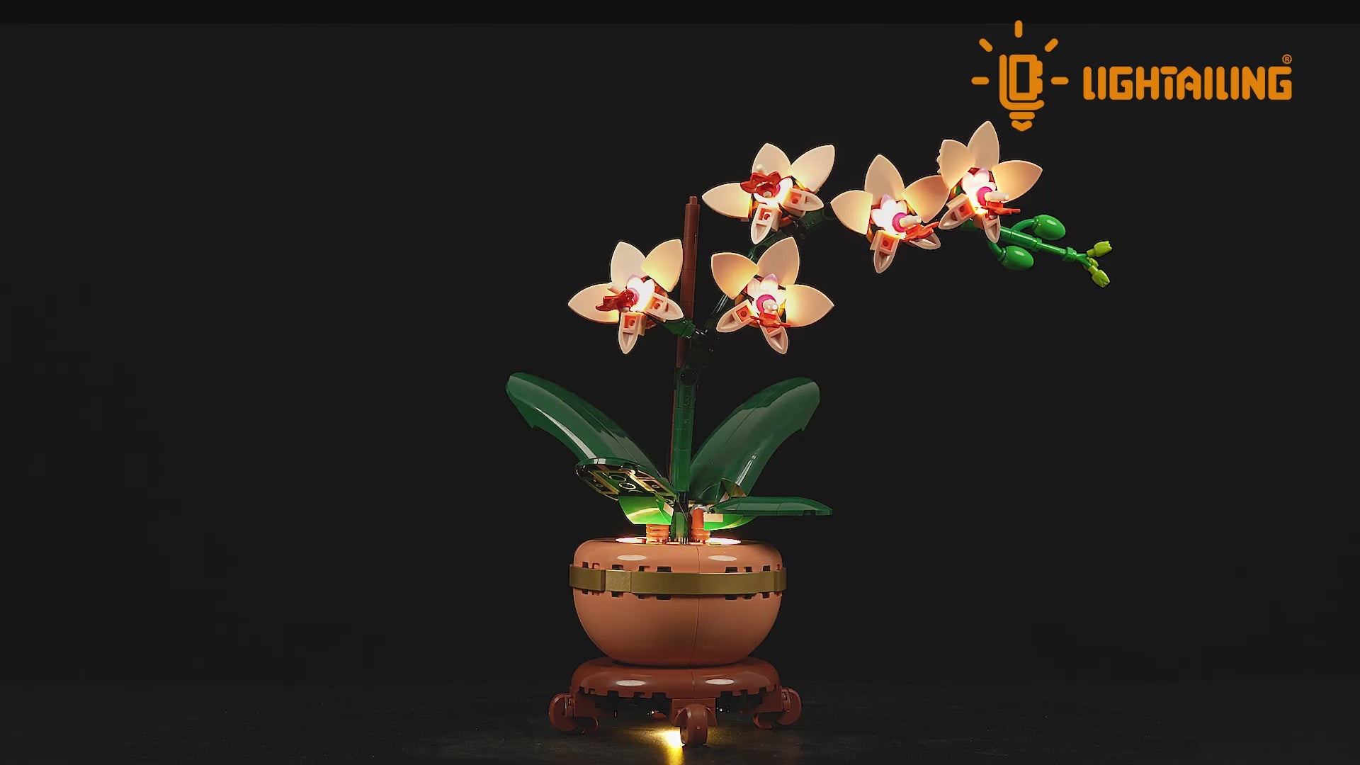 Light Kit for Mini Orchid 10343 -Lightailing