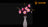 Light Kit for Magnolia Branches 11510 - Lightailing
