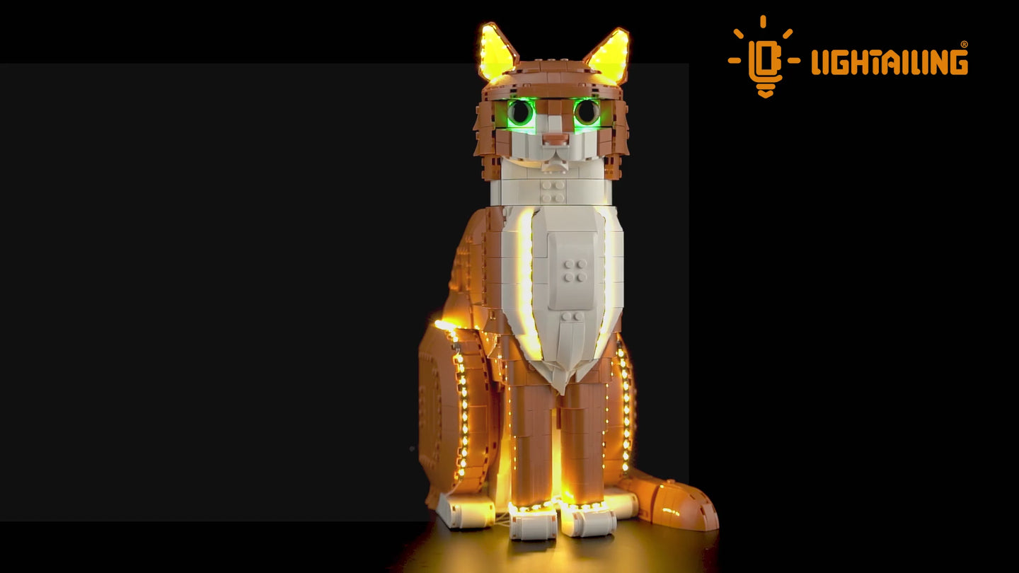Light Kit for Orange Cat 21376 - Lightailing