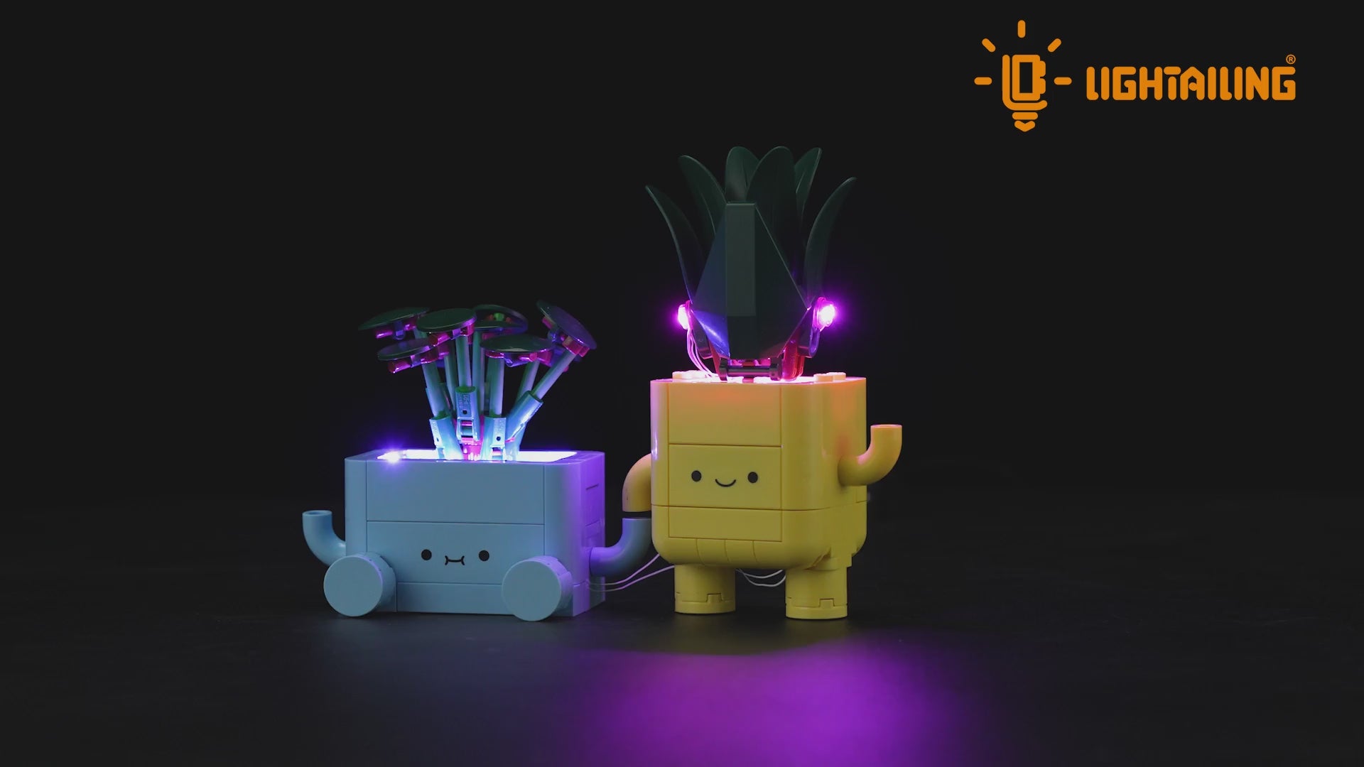 Light Kit for Happy Plants 10349-Lightailing