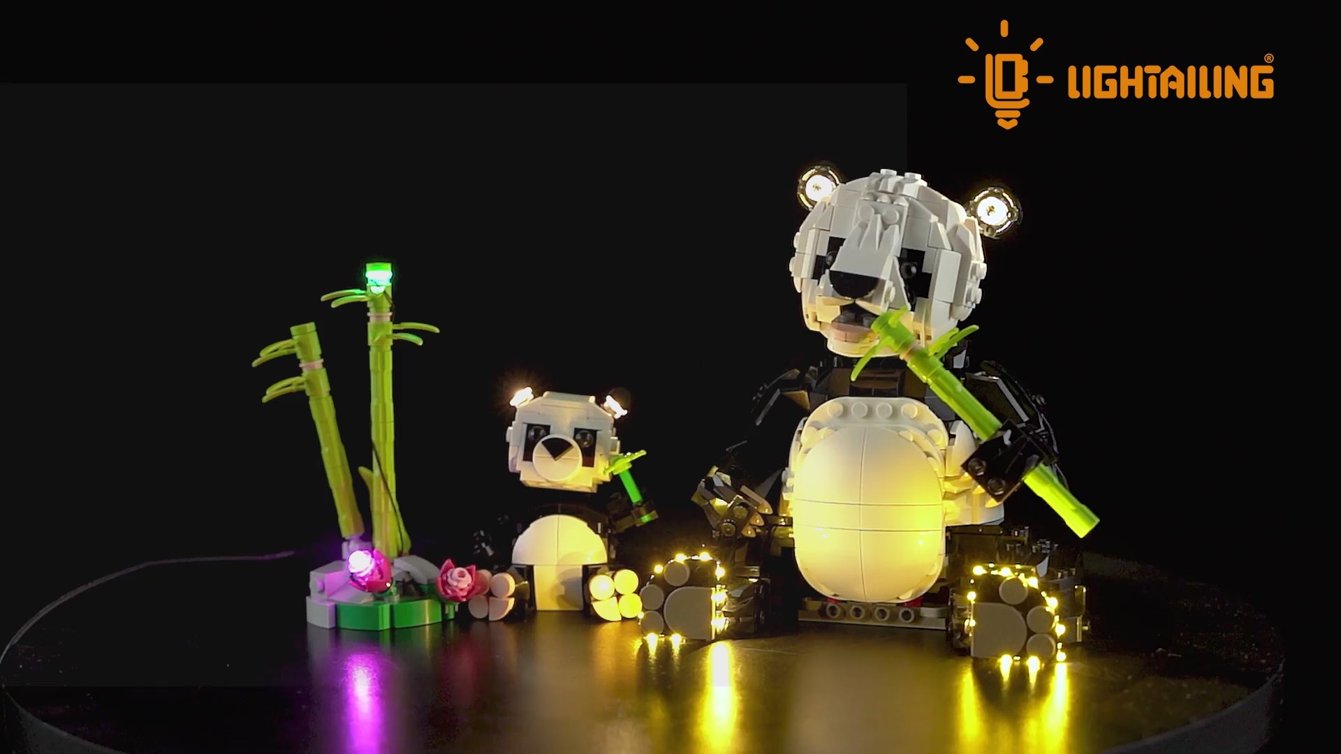 Light Kit for Wild Animals: Panda Family 31165—Lightailing