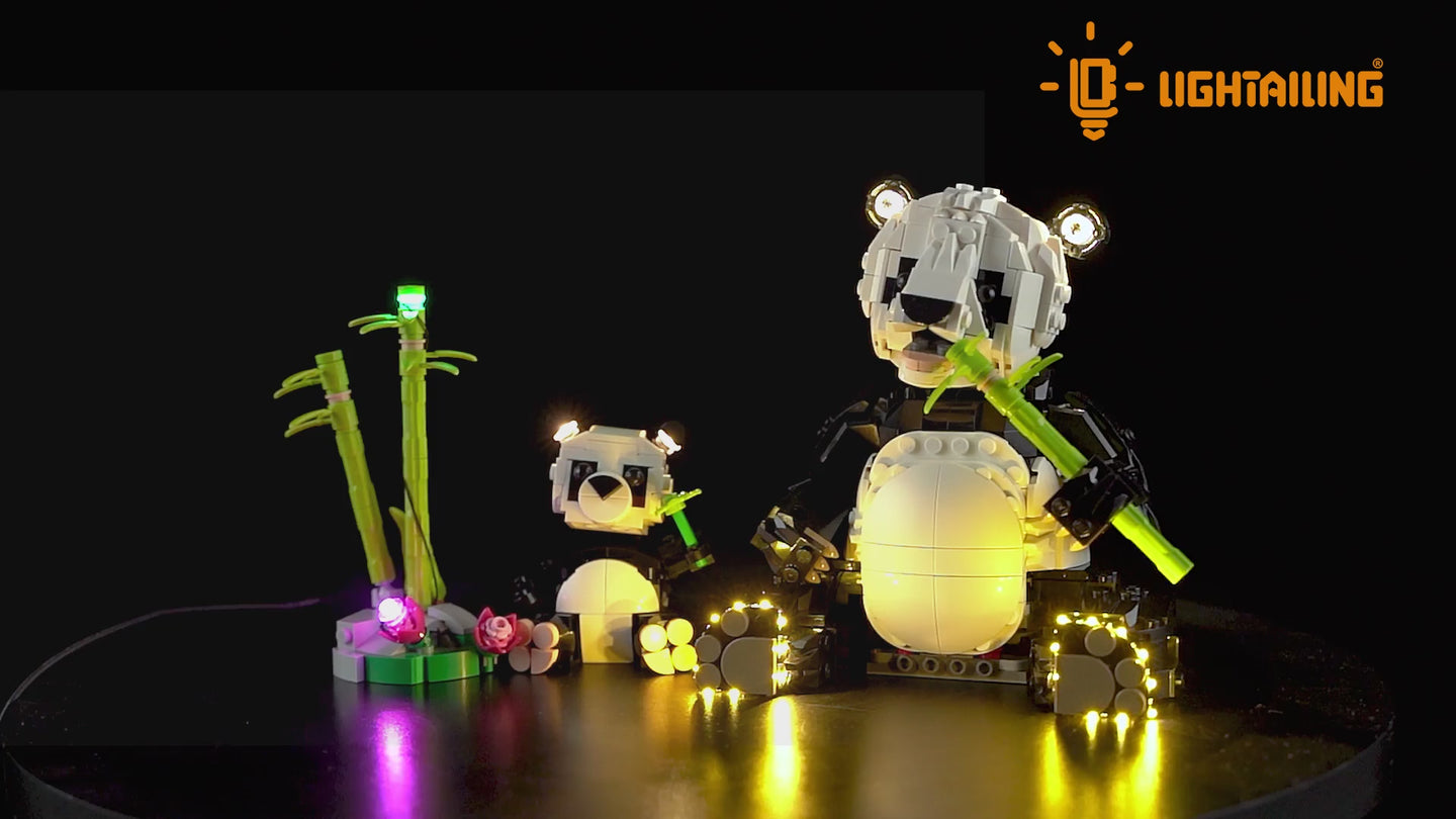 Light Kit for Wild Animals: Panda Family 31165—Lightailing