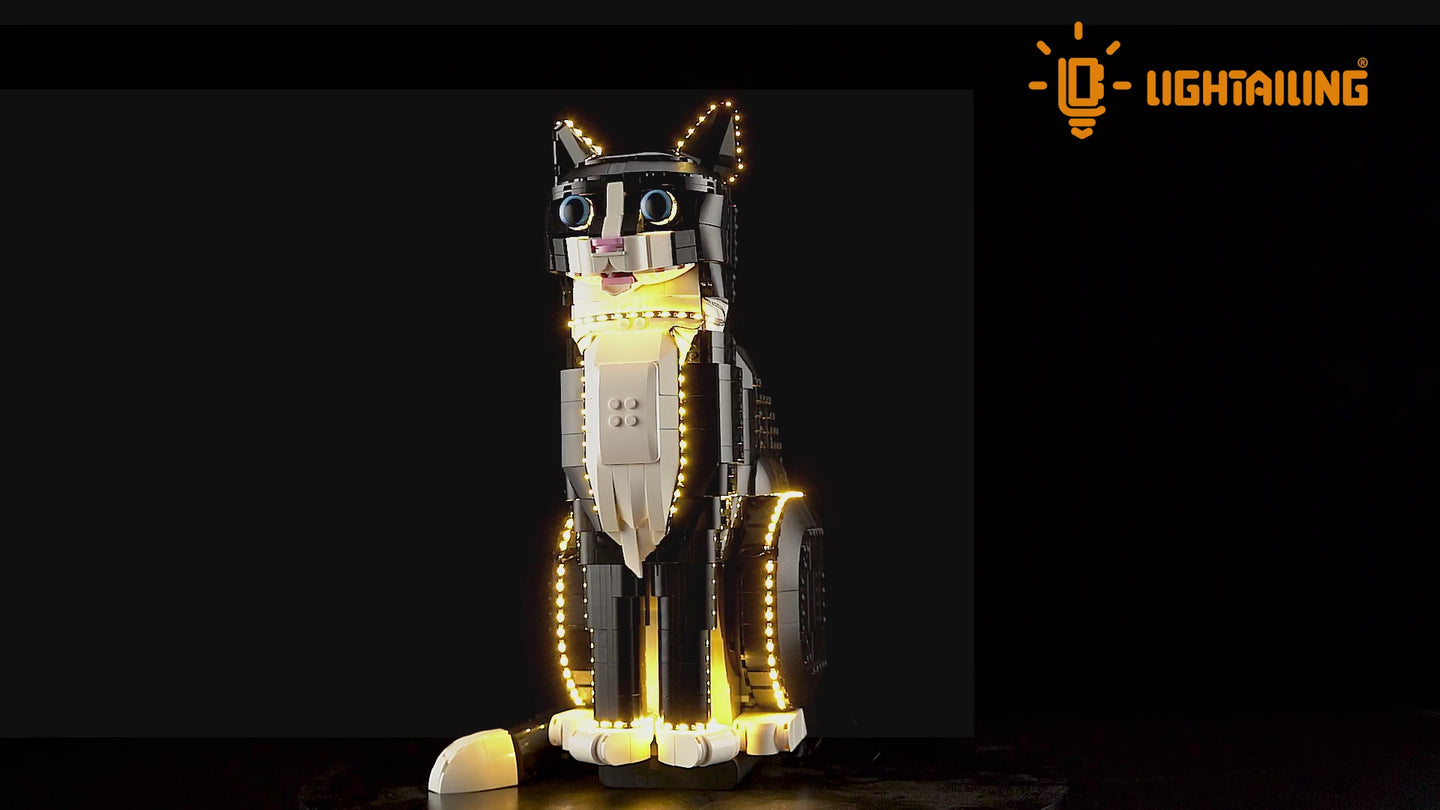 Light Kit for Tuxedo Cat 21349-Lightailing