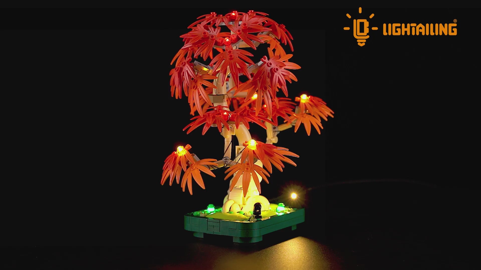 Light Kit for Japanese Red Maple Bonsai Tree 10348-Lightailing
