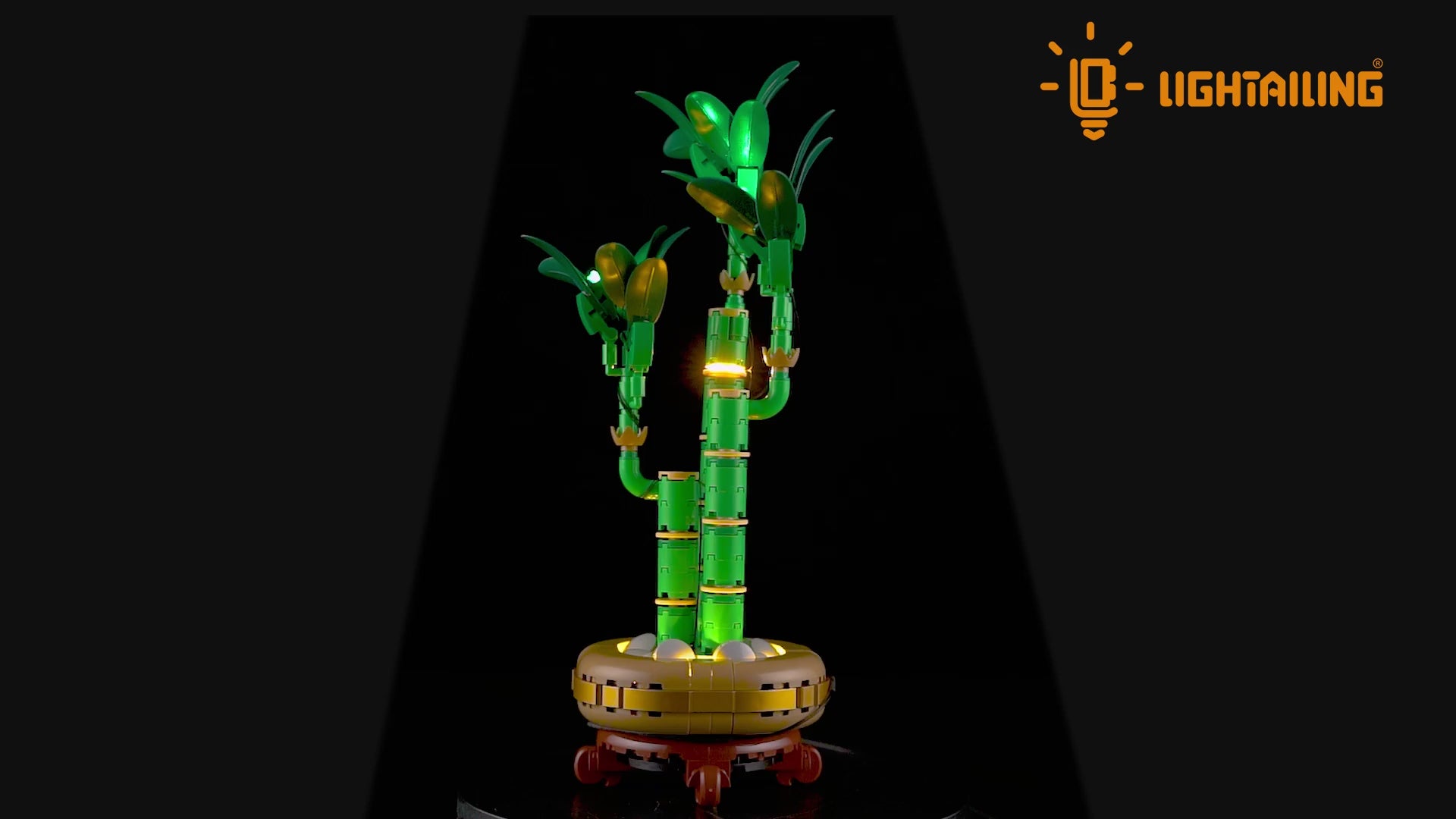 Light Kit for Lucky Bamboo 10344 - Lightailing(Remote Version)