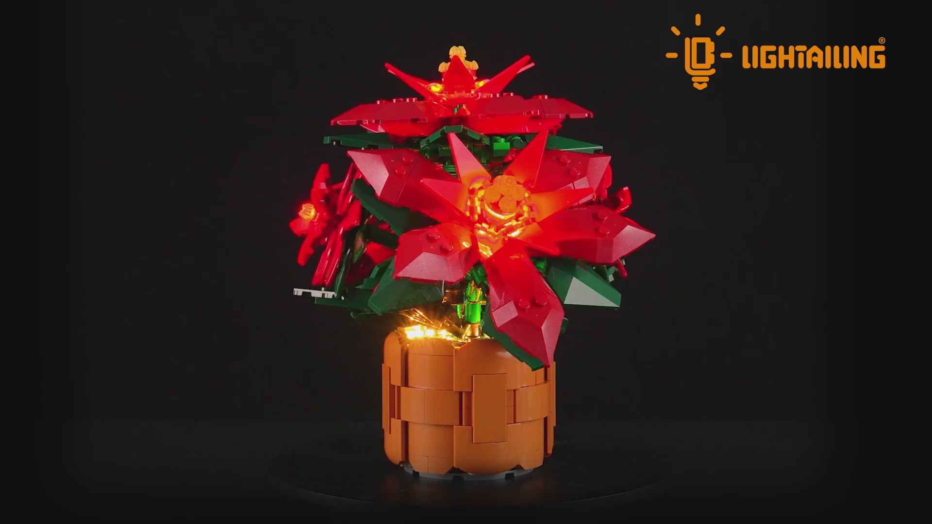 Light Kit for Poinsettia 10370 -Lightailing