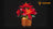Light Kit for Poinsettia 10370 -Lightailing