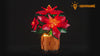 Light Kit for Poinsettia 10370 -Lightailing