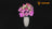 Light Kit for Bouquet of Pink Roses 10374- Lightailing