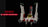 Light Kit for V-19 Torrent Starfighter  75432 - Briksmax 2.0