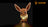 Light Kit for Eevee 72151 - Lightailing