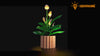 Light Kit for Peace Lily 11504- Lightailing