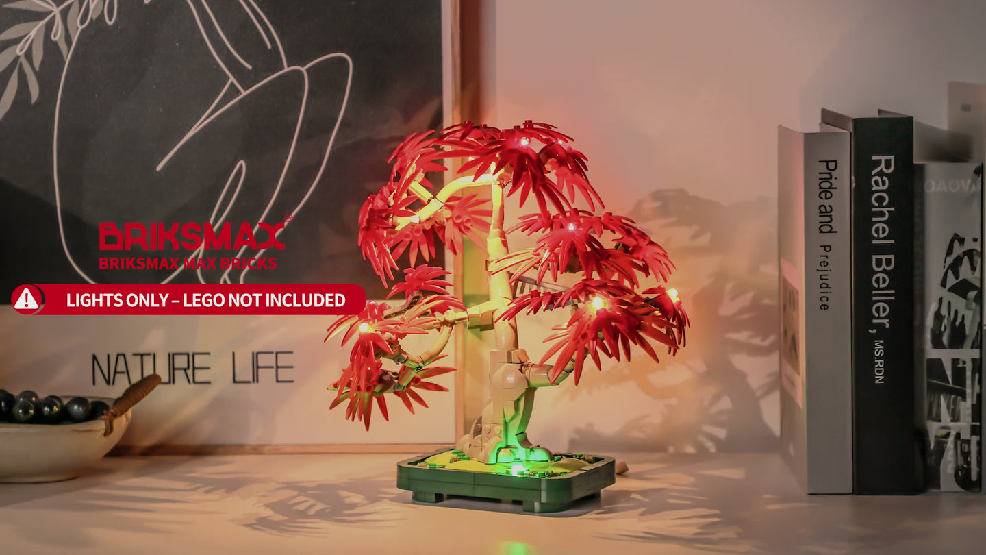 Light Kit for Japanese Red Maple Bonsai Tree 10348 - Briksmax 2.0
