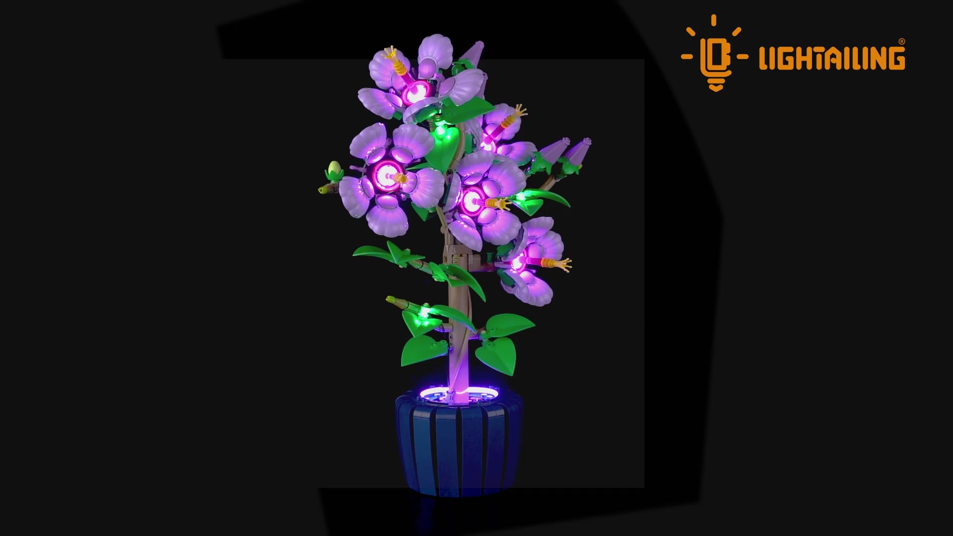 Light Kit for  Hibiscus 10372 - Lightailing
