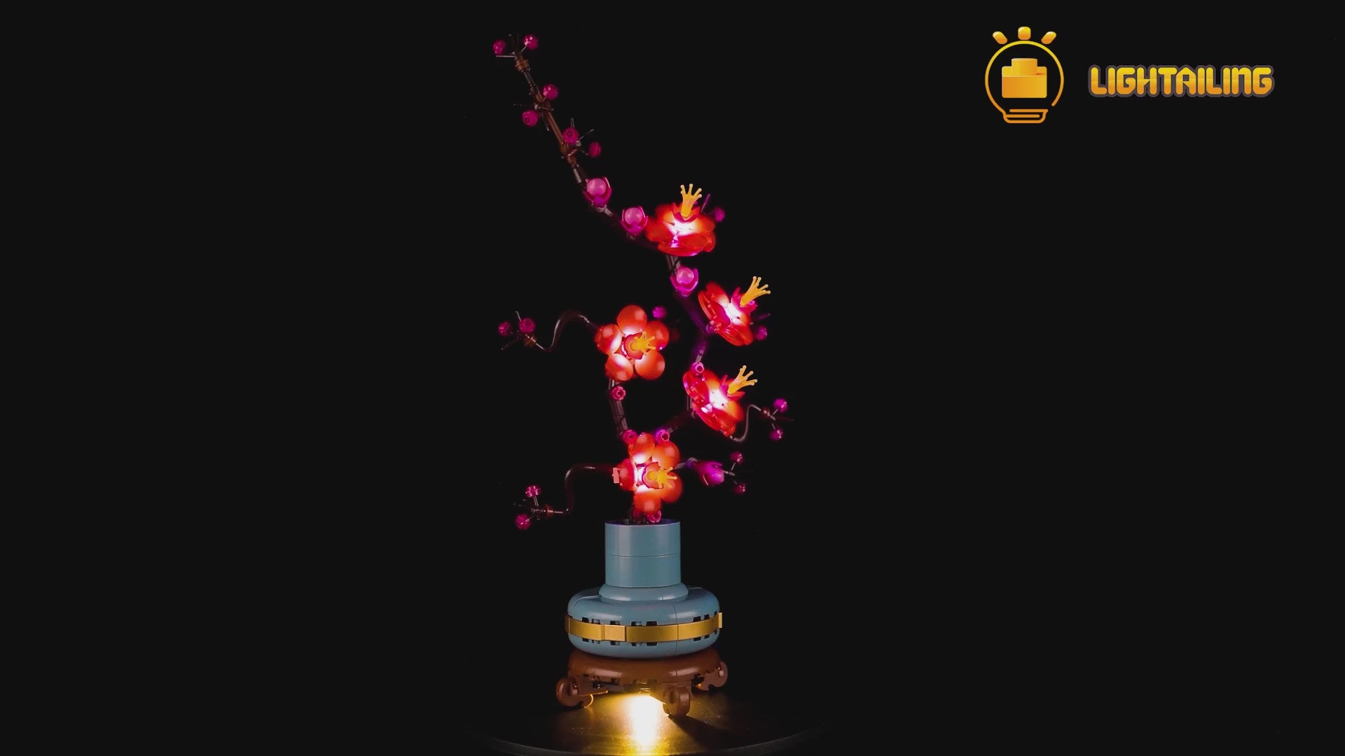 Light Kit For Plum Blossom 10369-Lightailing