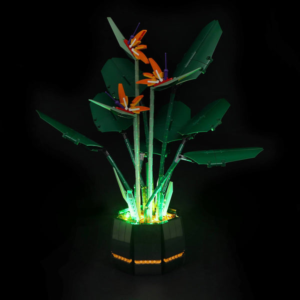 light up lego bird of paradise