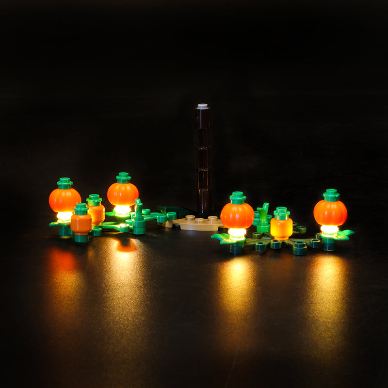 lego harry potter hagrid's hut lighting kits