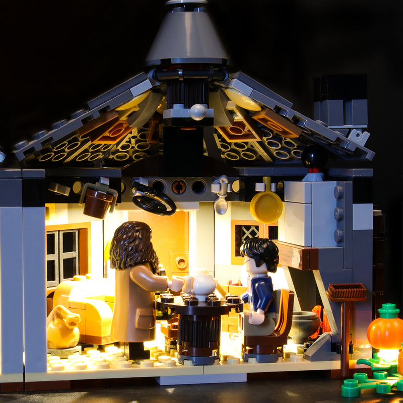 best lego light kits for Buckbeak's Rescue 75947