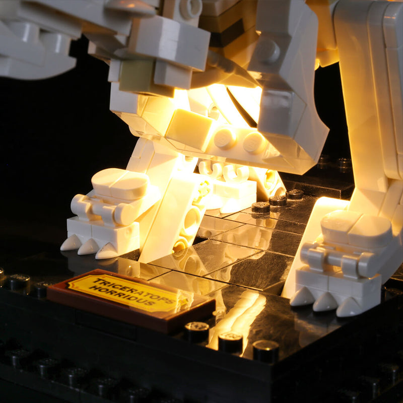 Lego Light Kit For Dinosaur Fossils Limited 21320  Lightailing