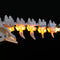 Lego Light Kit For Dinosaur Fossils Limited 21320  Lightailing