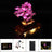 Lightailing Light Kit For LEGO Bonsai Tree 10281- 7