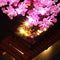 Kit d'éclairage pour Bonsai Tree 10281