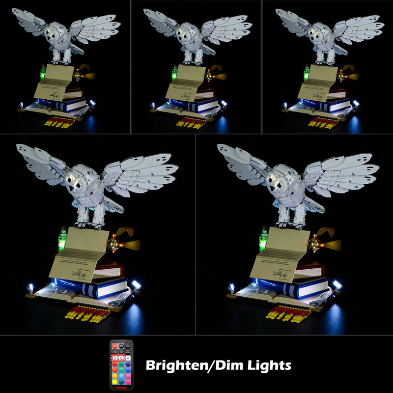 Kit d'éclairage LED pour LEGO 76391 Harry Potter Hedwige Great Owl Model  (Pas de modèle LEGO, lumières uniquement) (Général) : : Jeux et  Jouets