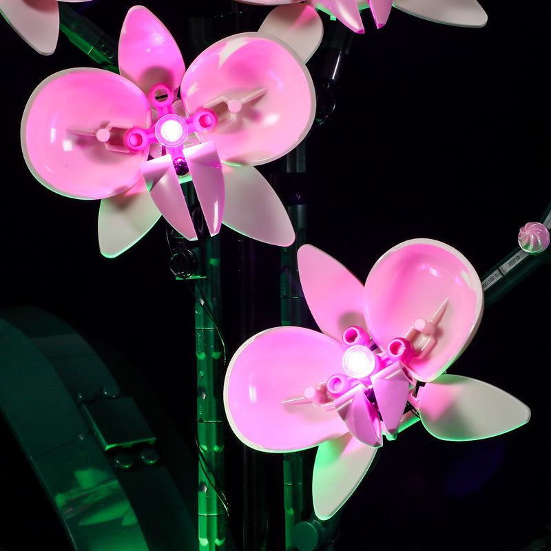 Light Kit For Orchid 10311 With Unique Night Mode – Lightailing