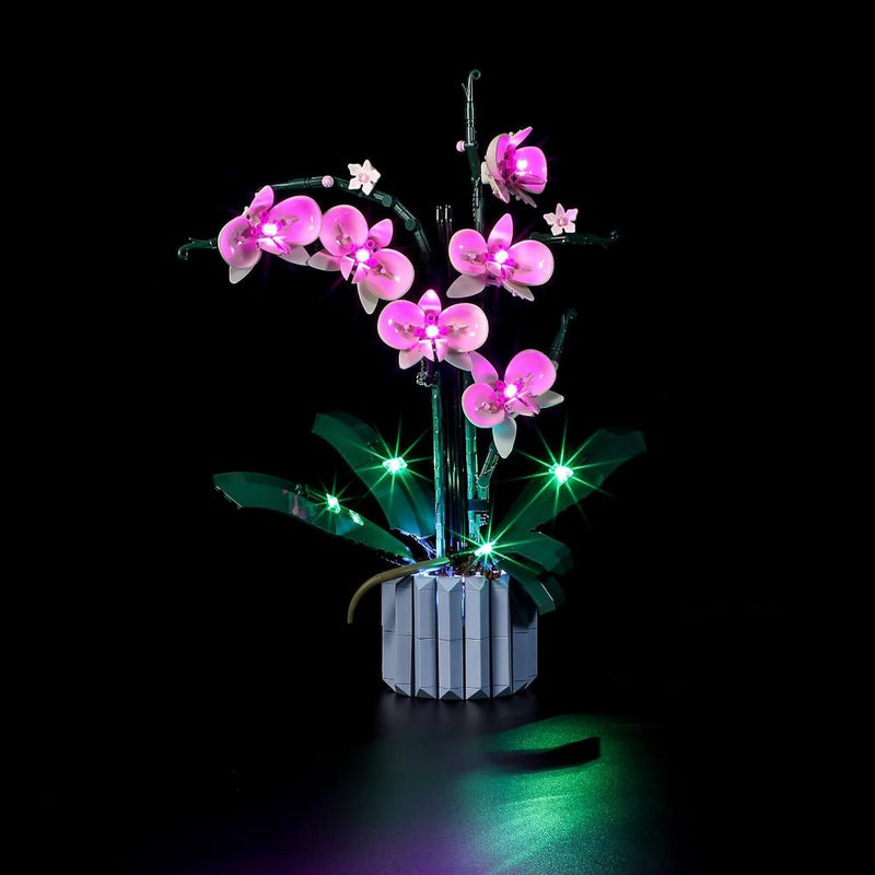 Kit D'éclairage Led Pour Créateur Expert 10289, Oiseau Du Paradis, Bouquet,  Plante En Pot, Modèle Blocs De Construction, Kit D'éclairage Uniquement,  Pas De Modèle - Blocs - AliExpress