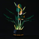 lighting lego bird of paradise