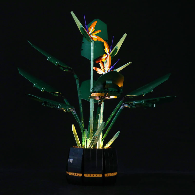 https://www.lightailing.com/cdn/shop/products/lighting-lego-bird-of-paradise_800x.jpg?v=1630318339